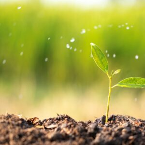 ISEP – Foundation Certificate in Environmental Management (FCEM)